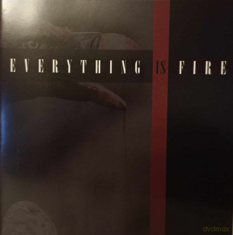 Everything Is Fire: Everything Is Fire [CD]