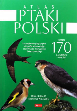 Atlas ptaków Polski - Anna Przybyłowicz, Łukasz Przybyłowicz [KSIĄŻKA]