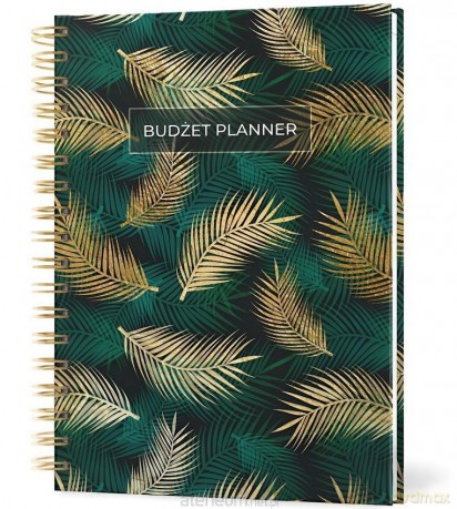 Budżet planner. Finansowy organizer oszczędnik