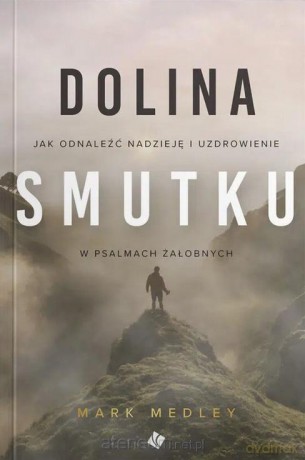 Dolina smutku - Mark Medley [KSIĄŻKA]