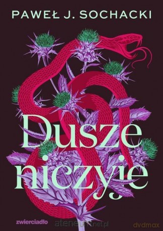 Dusze niczyje - Paweł J. Sochacki [KSIĄŻKA]