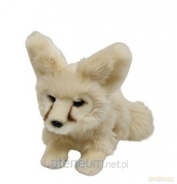 Fenek lis pustynny 22cm