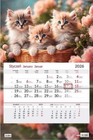Kalendarz 2026 jednodzielny Kotki [KALENDARZ]