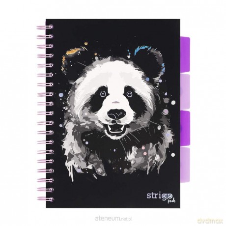 Kołozeszyt Pads B5/100K kratka Panda