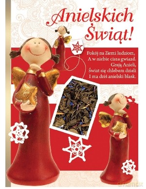 Karnet okolicznościowy SK Anielskich Świąt [SZKOŁA]