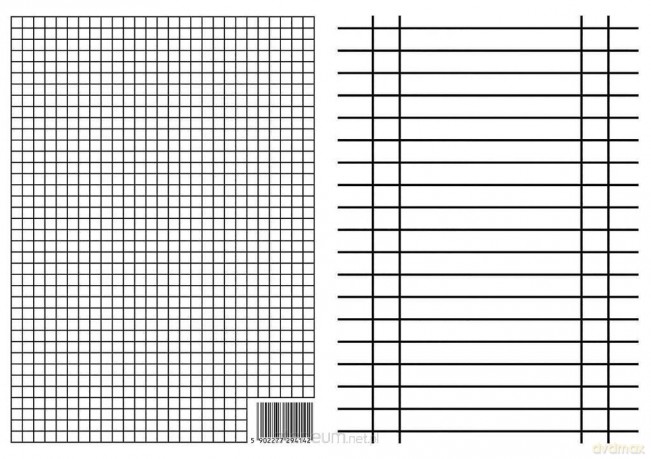 Liniuszek A4 kratka/linia (10szt)