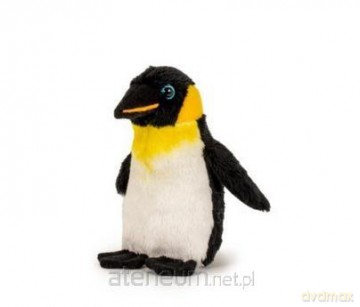 Pingwin 13cm