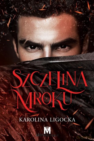 Szczelina mroku - Karolina Ligocka [KSIĄŻKA]