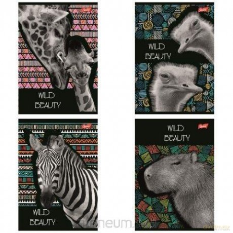 Zeszyt A5/60K kratka Wild Beauty (10szt)