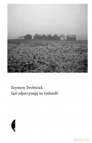 Gęsi odpoczywają na Gotlandii - Szymon Drobniak [KSIĄŻKA]