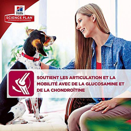 Hills - Dogfood SP Canine Adult Large Breed Chicken 12kg (H604307)