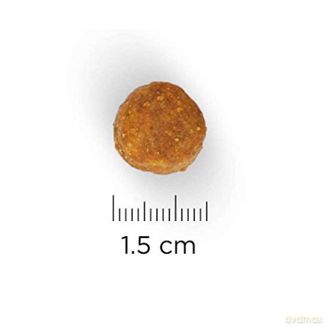 Hills - Dogfood SP Canine Adult Large Breed Chicken 12kg (H604307)