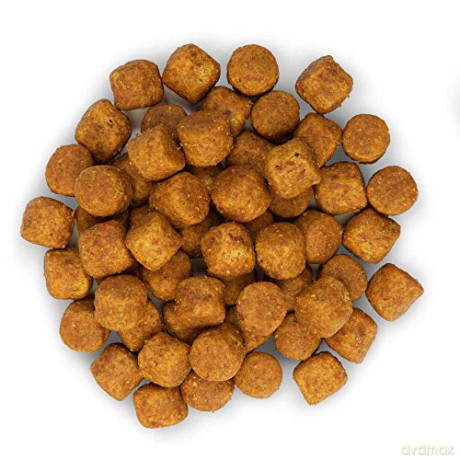 Hills - Dogfood SP Canine Adult Large Breed Chicken 12kg (H604307)