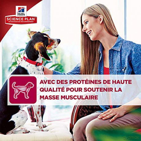 Hills - Dogfood SP Canine Adult Medium Chicken 12kg (H604275)