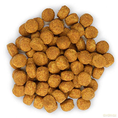 Hills - Dogfood SP Canine Adult Medium Chicken 12kg (H604275)