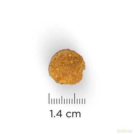 Hills - Dogfood SP Canine Adult Medium Chicken 12kg (H604275)