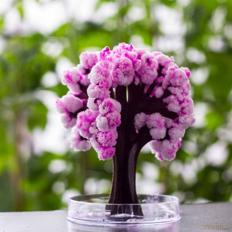 Mad Monkey - Magic Sakura - 13.5 cm - pink