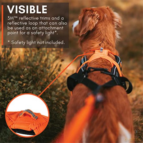 Non-Stop - Harness Freemotion 5.0 - Black/Orange - 4