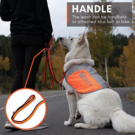 Smycz do biegania Non-Stop - Line Bungee - Black/Orange - 2m