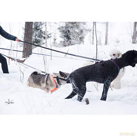 Non-Stop - Line Touring Bungee - Black/Grey - 2.8m/1.9m