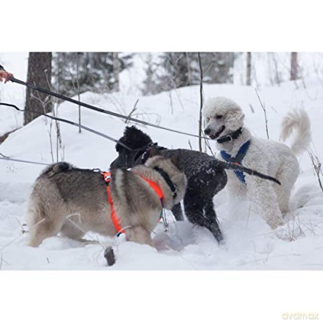 Non-Stop - Line Touring Bungee - Black/Grey - 2.8m/1.9m
