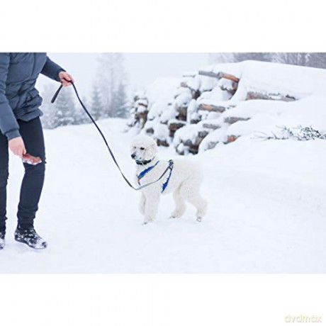 Non-Stop - Line Touring Bungee - Black/Grey - 2.8m/1.9m