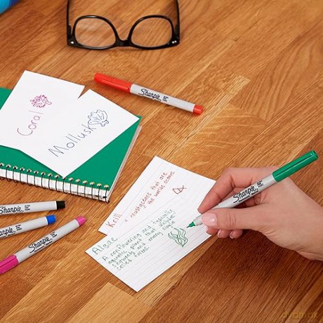 Paper Mate - Flair Felt Tip Pens - Assorted Colours - Medium Tip (0.7 mm) - 16 Count