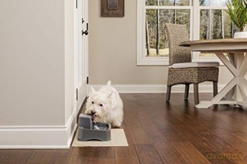 Petsafe - Replacement Foam Filter - 2 pack