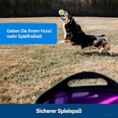 Petsafe - Replacement Foam Filter - 2 pack