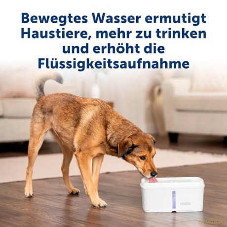 Petsafe - Viva Fountain - 4.1L