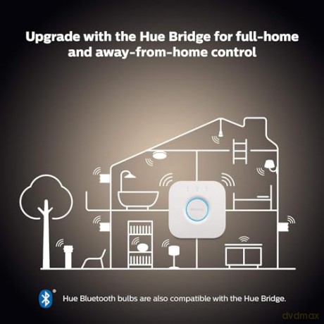 Philips Hue - Being Hue Ceiling Lamp - White Ambiance