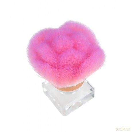 Topmodel - Powder Brush