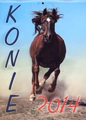 Konie 2014 kalendarz ścienny miesięczny [KSIĄŻKA]