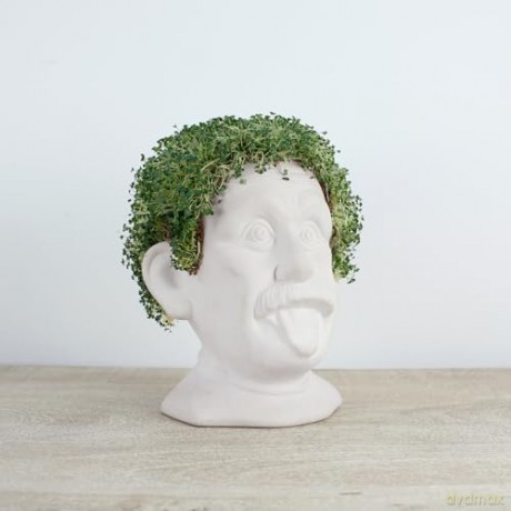 Winkee - Genius Chia Planter - Compact