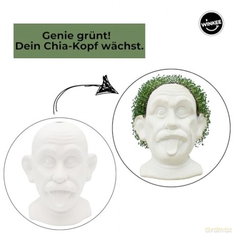 Winkee - Genius Chia Planter - Compact