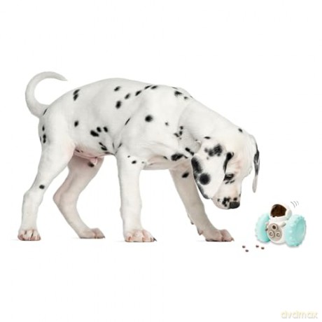 Winkee - Robot toys for pets - Pet Care Robot Toy