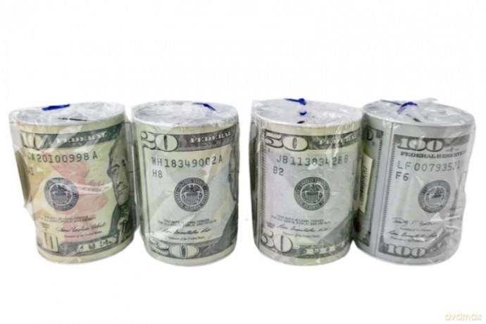 Skarbonka metalowa Dolar 01481 14813