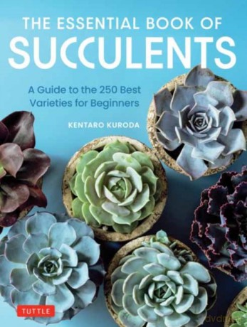 The Essential Book of Succulents wer. angielska - Kentaro Kuroda [KSIĄŻKA]