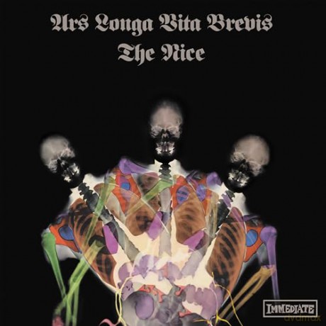 Nice: Ars Longa Vita Brevis (Immediate 60th Anniversary) (Color X-Ray Marbled) [Winyl]