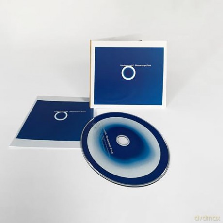 Underworld: Beaucoup Fish [CD]