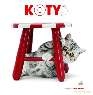 Koty - Giorgio Ferrero, Federica Romagnoli [KSIĄŻKA]