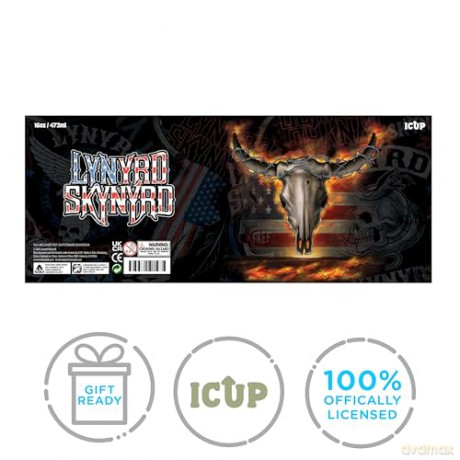 Lynyrd Skynyrd: Lynryd Skynyrd Pint Glasses Set (4 Pack / 16Oz)