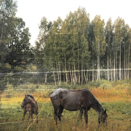 Pianos Become The Teeth: Old Pride (Forest Green) [Winyl]
