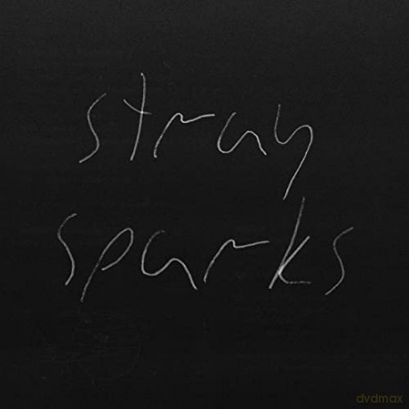 Goodbye Party: Stray Sparks [KASETA]