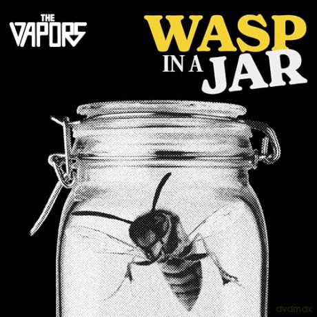 Vapors: Wasp In A Jar [CD]