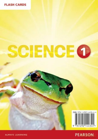 Big Science 1 Flashcards [KSIĄŻKA]
