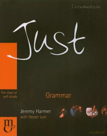 Just Grammar [KSIĄŻKA]