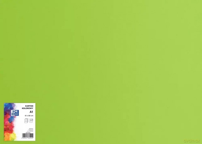 Karton Ozd A1 zielony J.160g Top Fol A 25 Pg