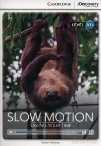 Slow Motion: Taking Your Time - Holmes Karen [KSIĄŻKA]