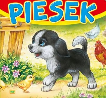 Sztywne strony kwadrat. Piesek 800 [KSIĄŻKA]